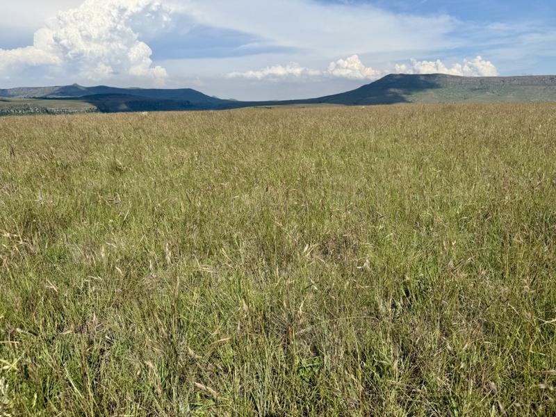 0 Bedroom Property for Sale in Harrismith Free State